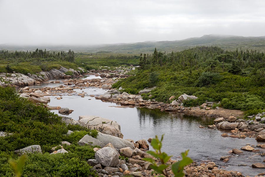 Lloyd's River