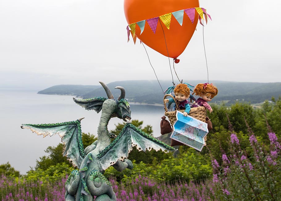 Flying Over Irish Cove