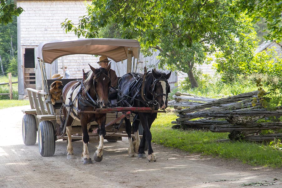  Passenger Transport