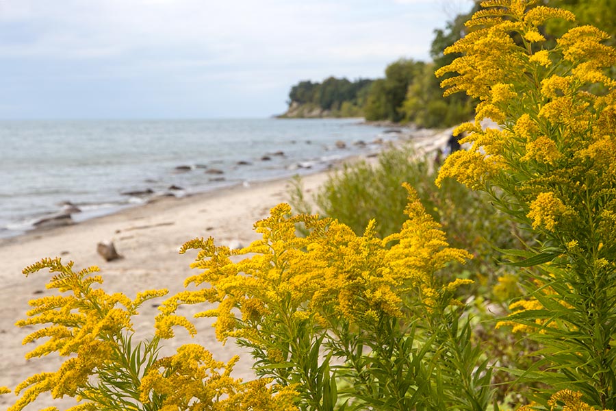 September Beach