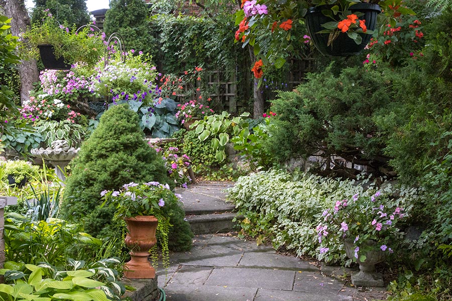 the Back Garden