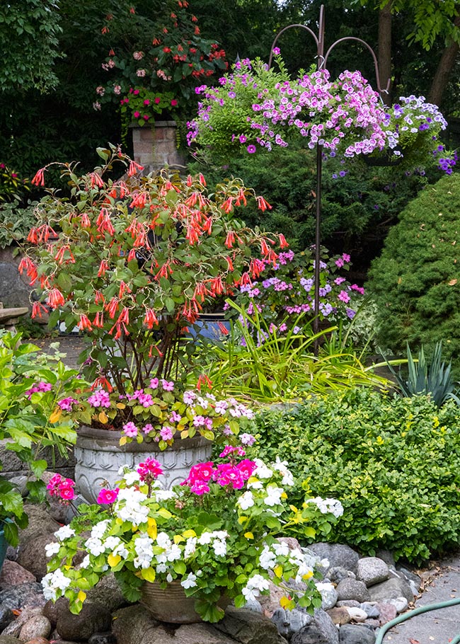 Edge of the Patio