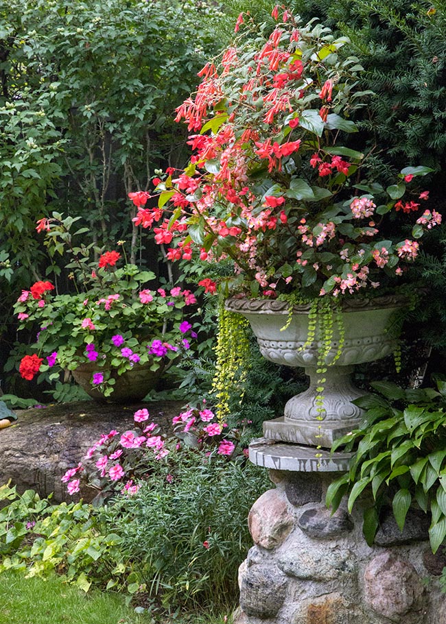 Corner of the Garden