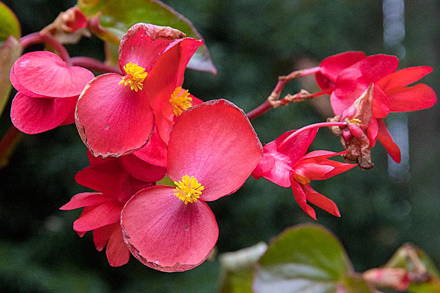 Struggling in the Cold