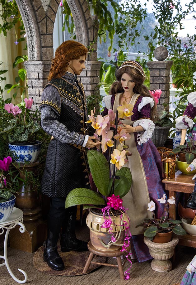 An Orchid for Monica