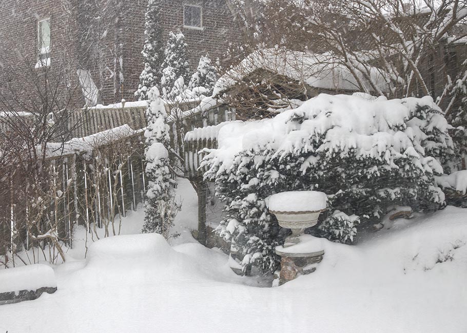 First Big Snowstorm of the Year