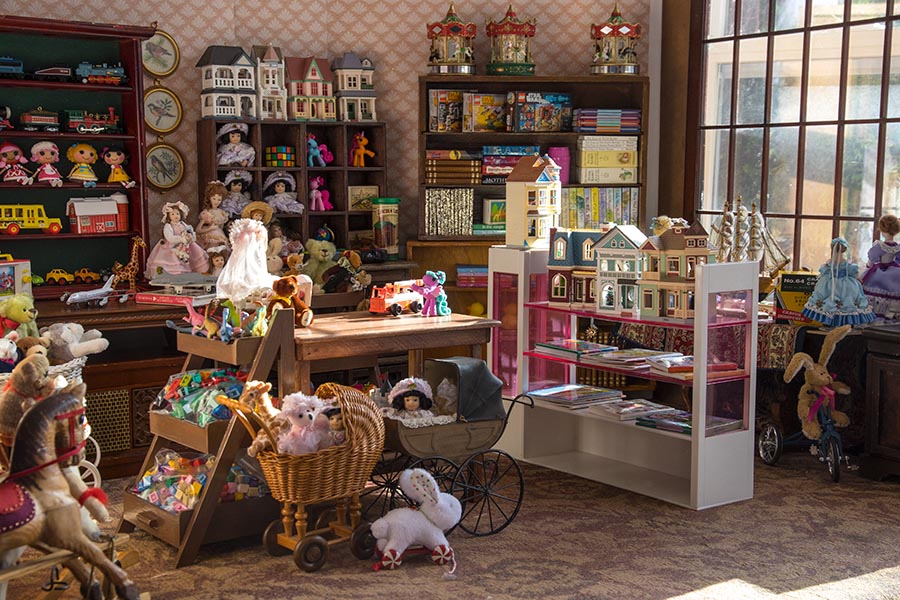 the Toy Store