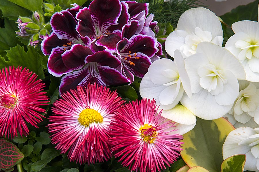 Spring Flower Arrangement
