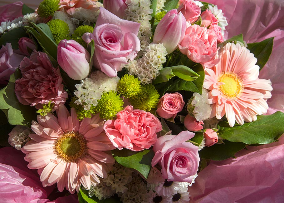 Pink Flowers