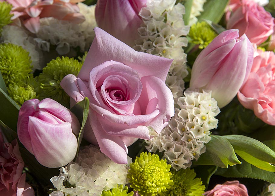 Rose and Tulips