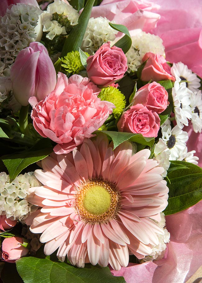 More Pink Flowers