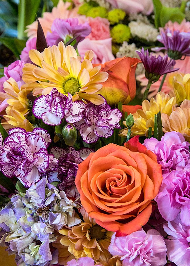 Colourful Flowers