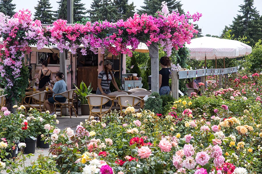 Tea Room in the Rose Garden