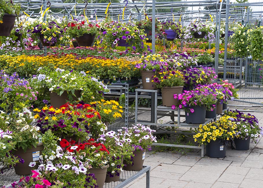 Still Lots to Choose From