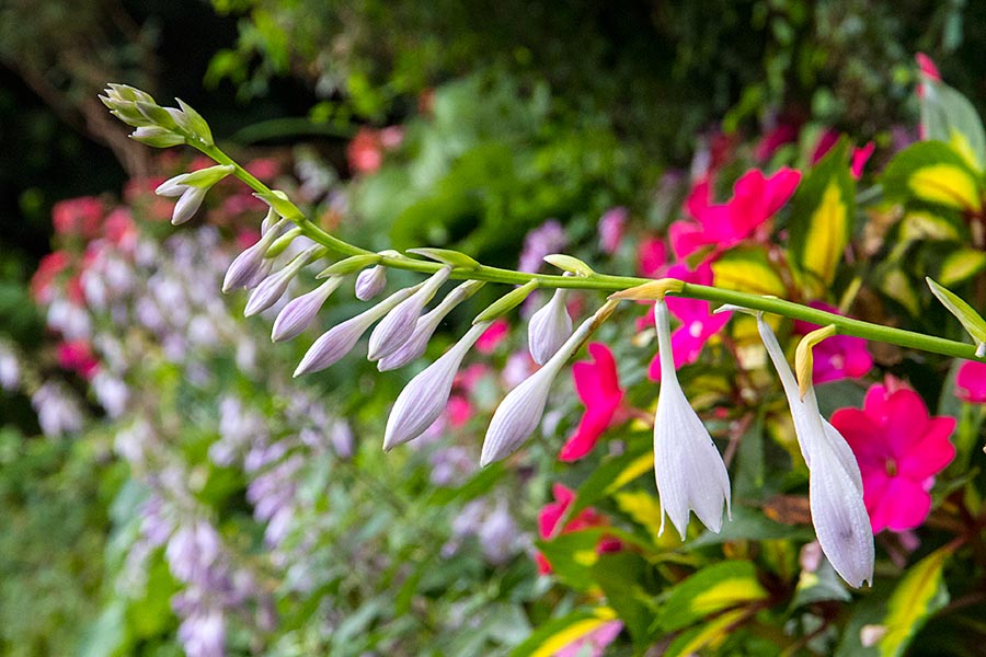 Reaching for the Light