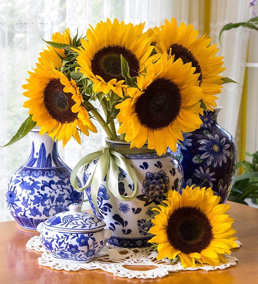 Sunflowers for Jan