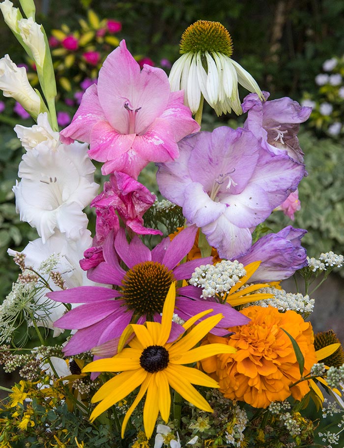 Get Well Bouquet 