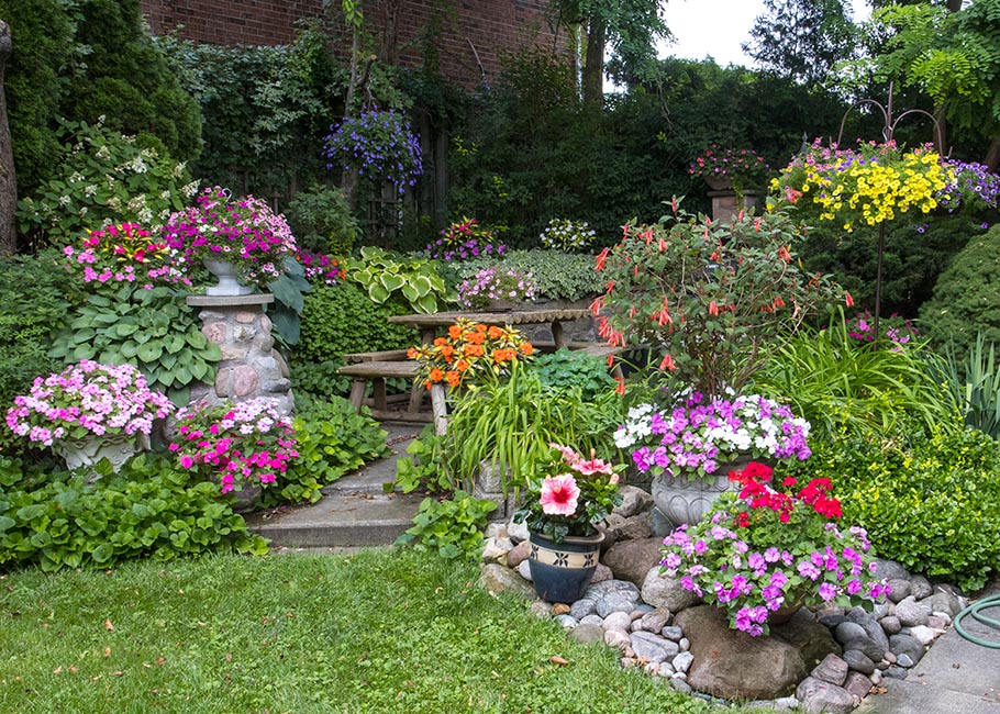 Early August Garden