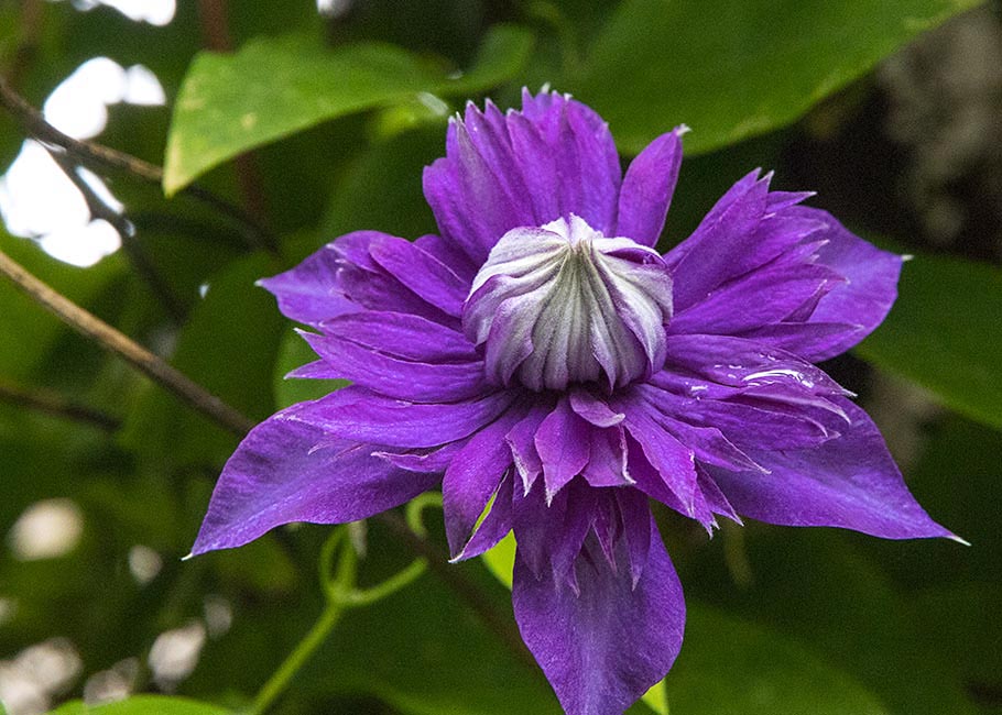 A Second One Opening