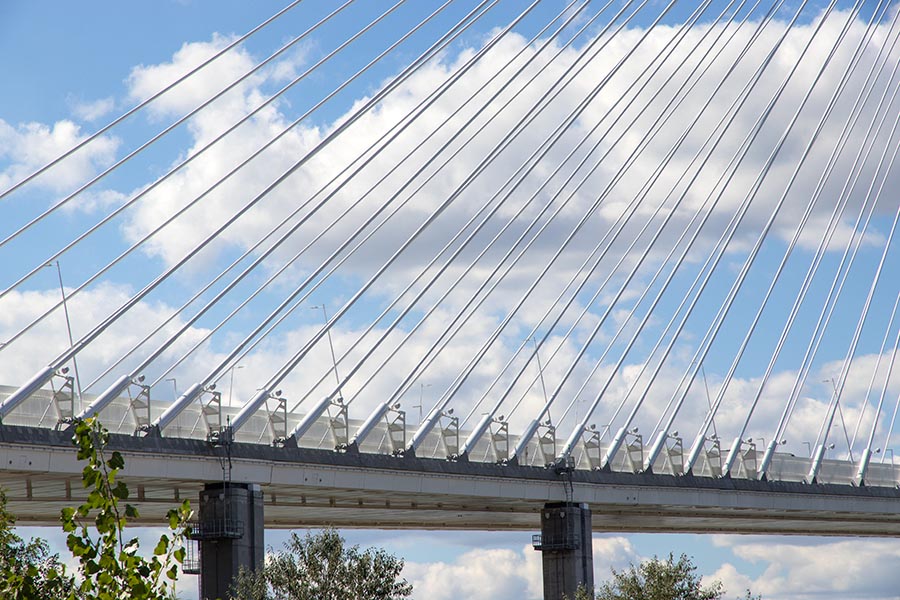 the Suspension Cables