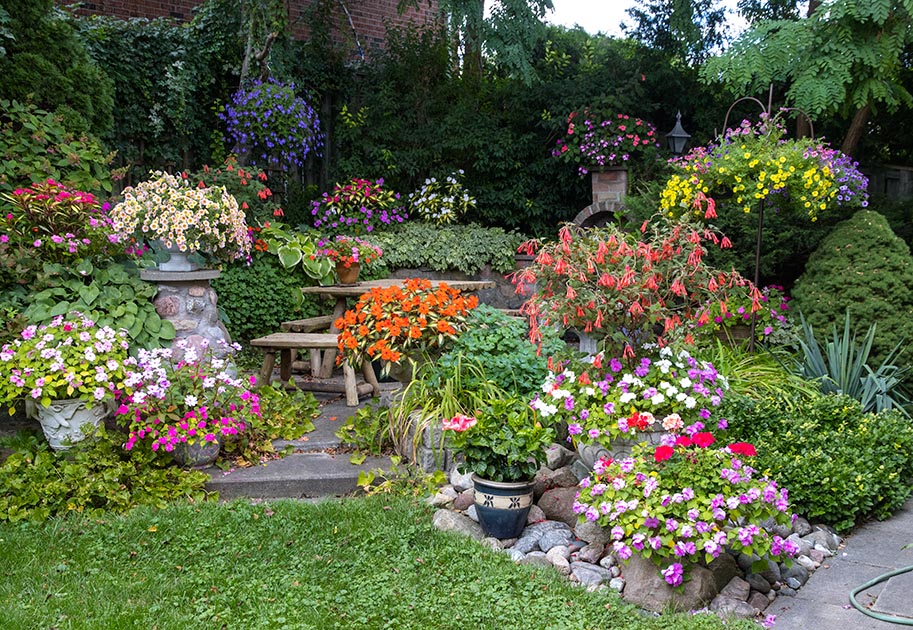 the Patio