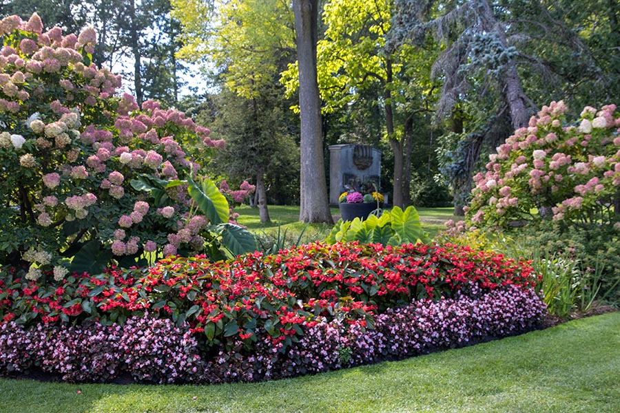 Autumn Gardens