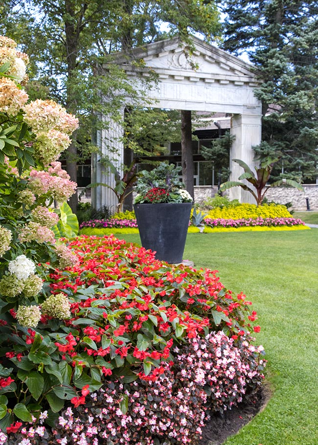 Begonias & Arch