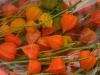 Chinese Lanterns