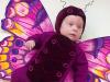 Baby Butterfly