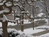 First Snowfall