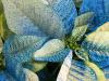 Sparkly Poinsettia