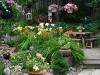 My Patio