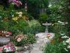 The Bird Bath