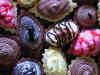 Birthday Tarts