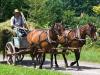 The Hay Wagon