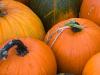 Pumpkins