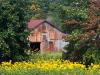 September Barn