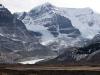 Mount Andromeda & Athabasca Glacier