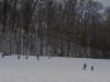 the Bunny Hill