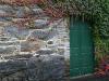 Ivy-Covered Stone Wall with Door