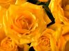 Happy Mothers Day!