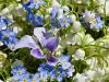 Blue and White