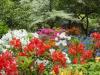 Another Look at the Colourful Flower Border
