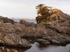 Rugged Coast, Pacific Trail, Uclulet