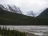Along the Icefields Parkway