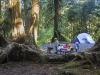Camping in the Rain Forest