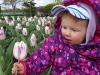 Emily and the Tulips