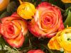 Roses and Ranunculas
