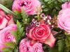 Pink Roses and Ranunculas