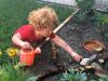 Watering the Butterfly Garden